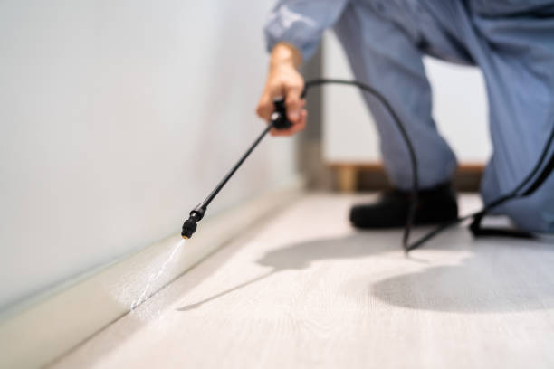 Certified termite inspector examining foundation in Bradley Beach