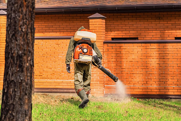 Bed Bug Clearance Verification and Documentation in Bradley Beach